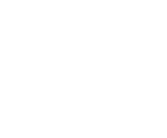 Evolution games at Viva Fortunes Casino